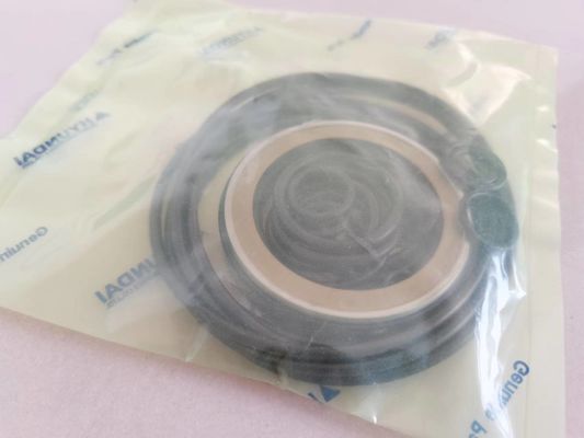 수력 굴삭기 봉지 키트는 XKAY-00553 R210LC-7 R160LC-7을 특화했습니다